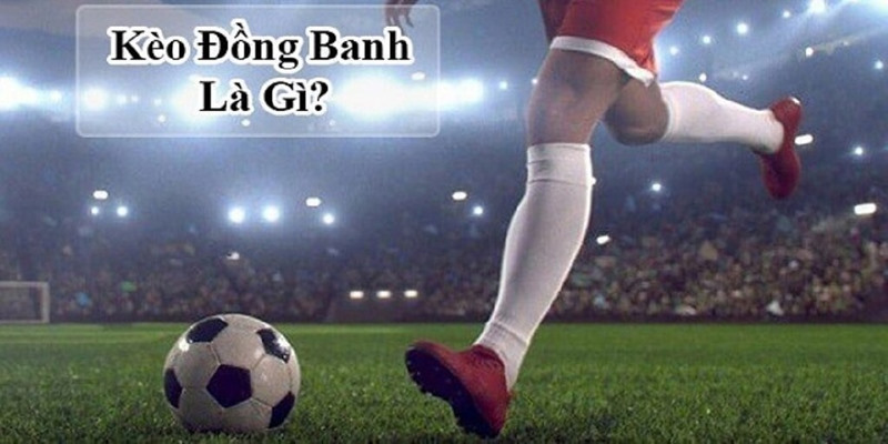 Hướng dẫn chơi kèo châu Á đồng banh